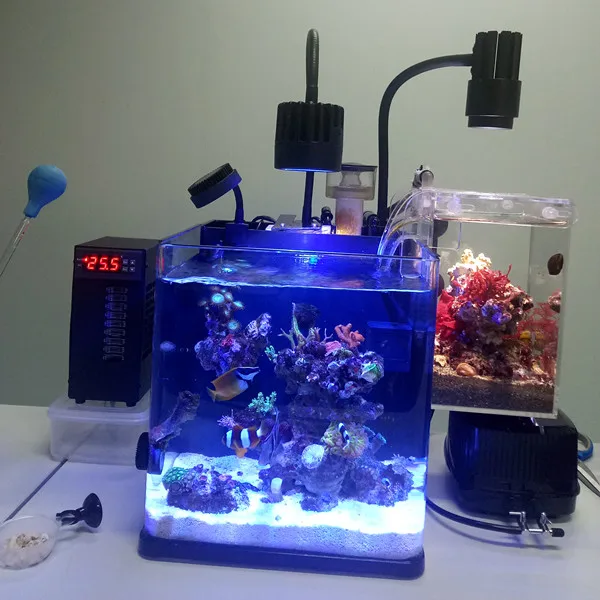 Termostatické nastaviteľné polovodičové elektronické Malých micro chladič Akvária 35-litrové akvárium obehovej vody chladenie